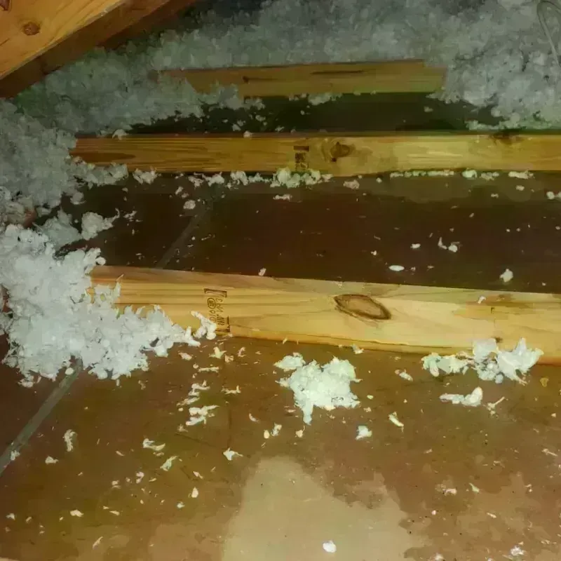 Attic Water Damage in Redkey, IN